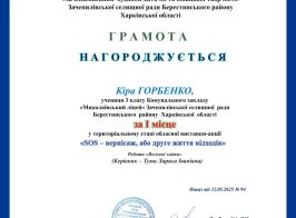 зображення Viber 2025 05 13 16 17 23 614