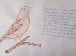 Чуб Дарина 5 клас