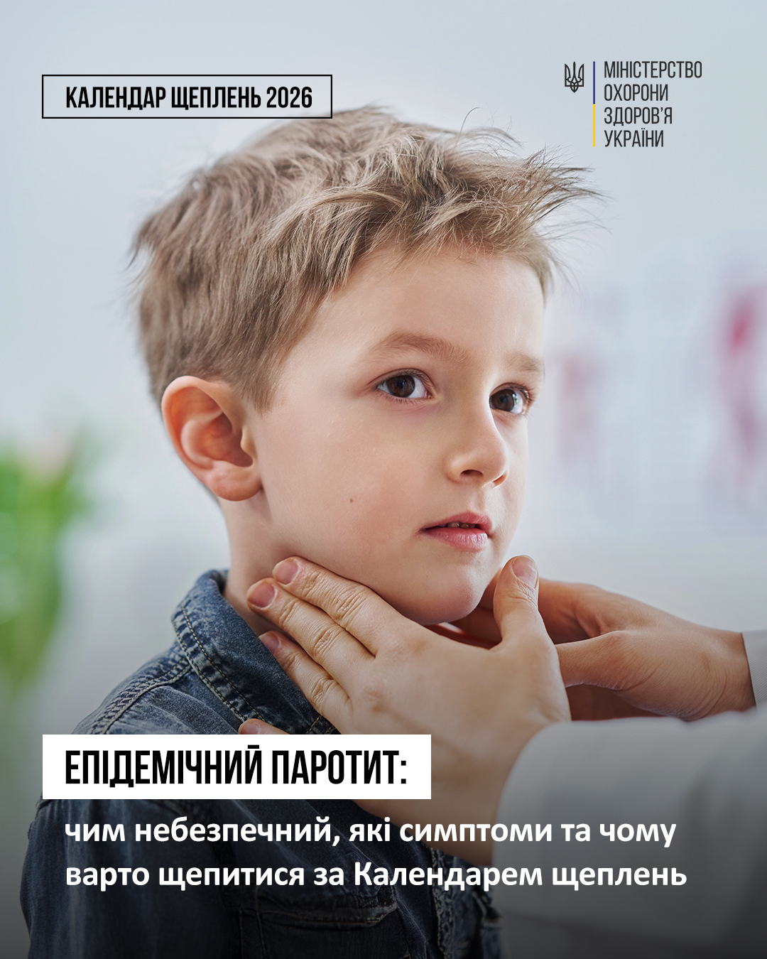 зображення 2026 02 26 112159208