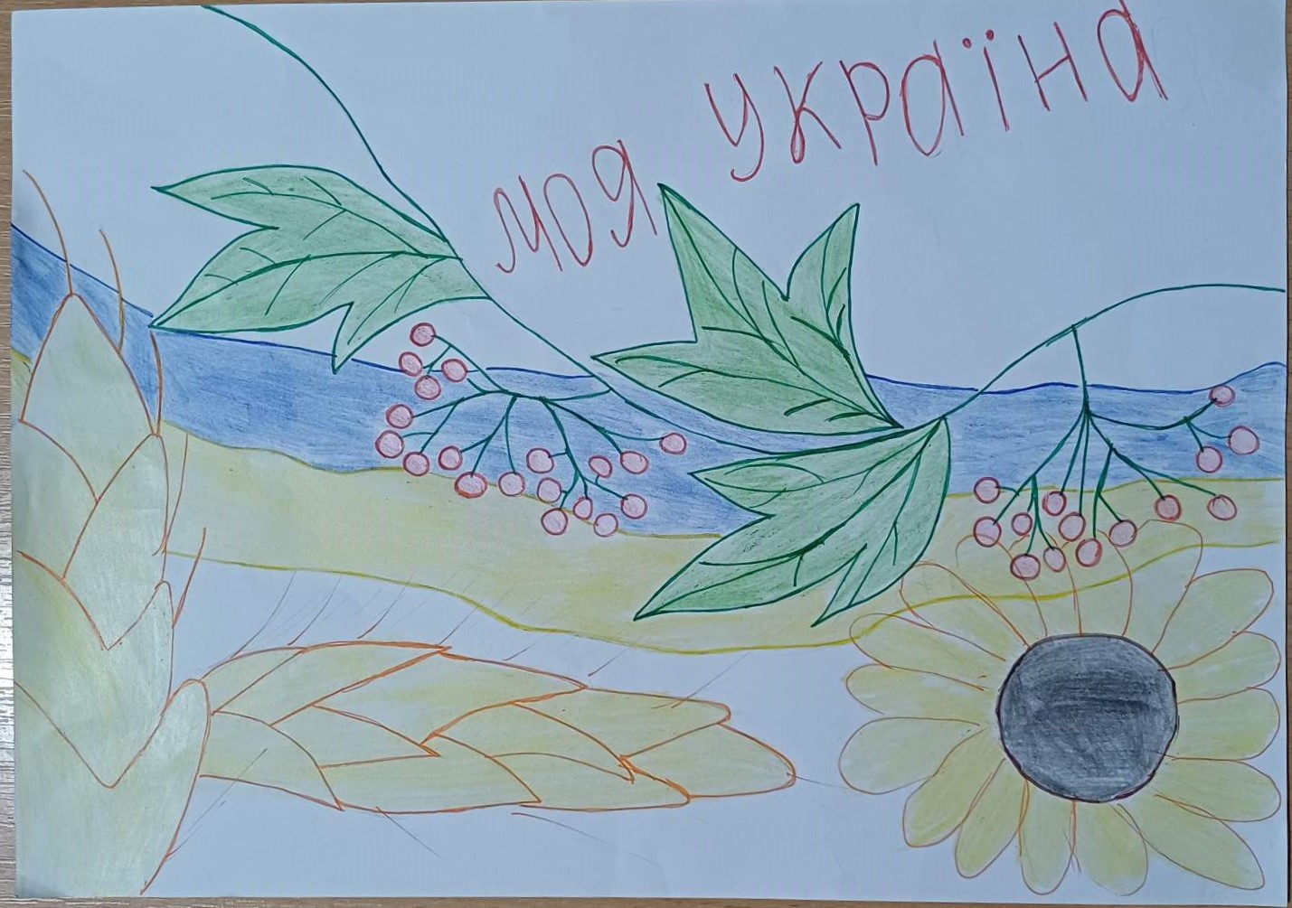 Україна Рахно Артем 10 років