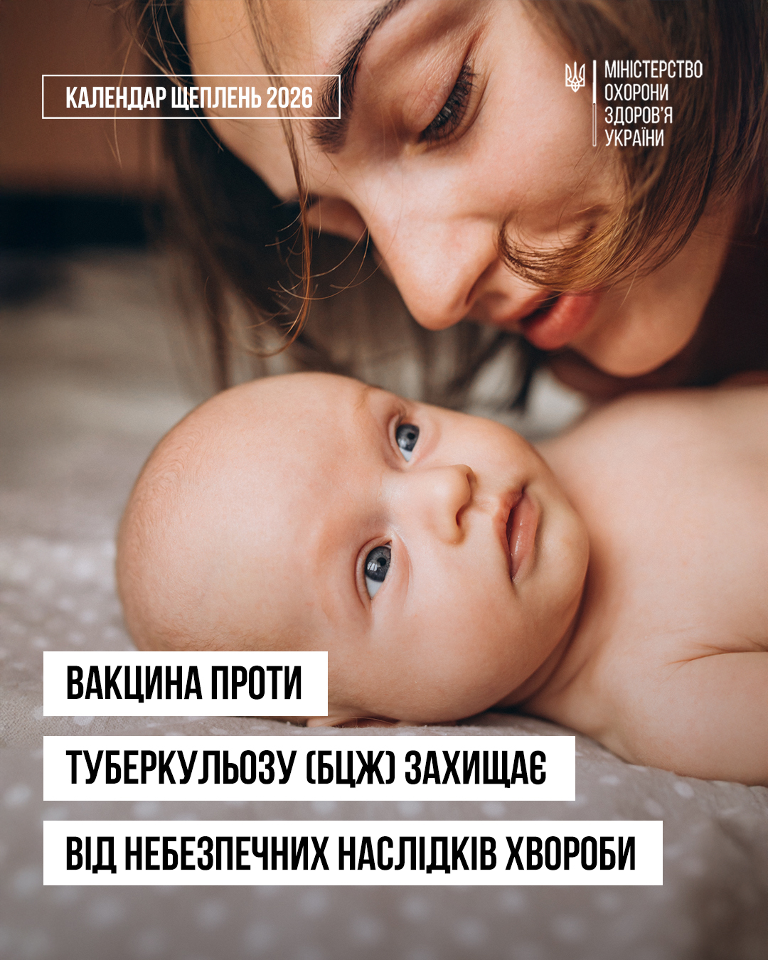 зображення 2026 02 02 084521326