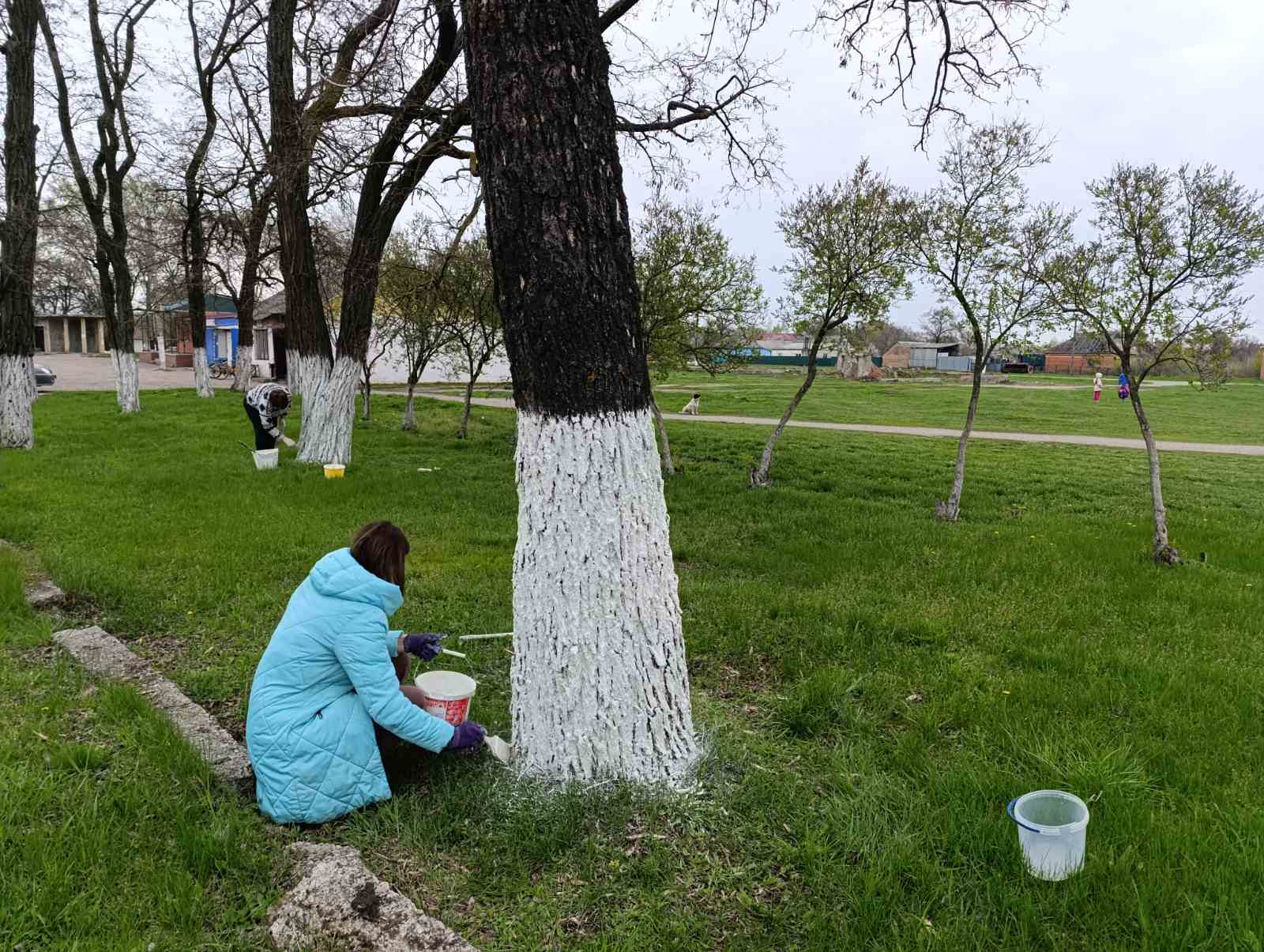 0 02 05 2dfee4371642fca9b759fb3b581144d9a7df8a21005ef937c3ab7275e5e9d155 1261038cbe5c6261