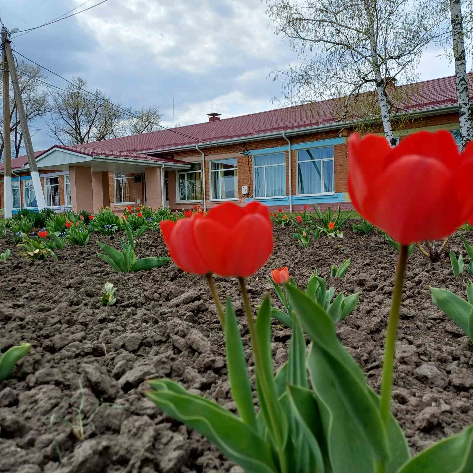 0 02 05 485a731950d3aee8009edd3330e2f03cd4ed3df41e5d532090e2ea0a07ab7085 1a035ebd63c681