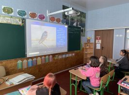 зображення Viber 2026 04 02 11 42 19 394