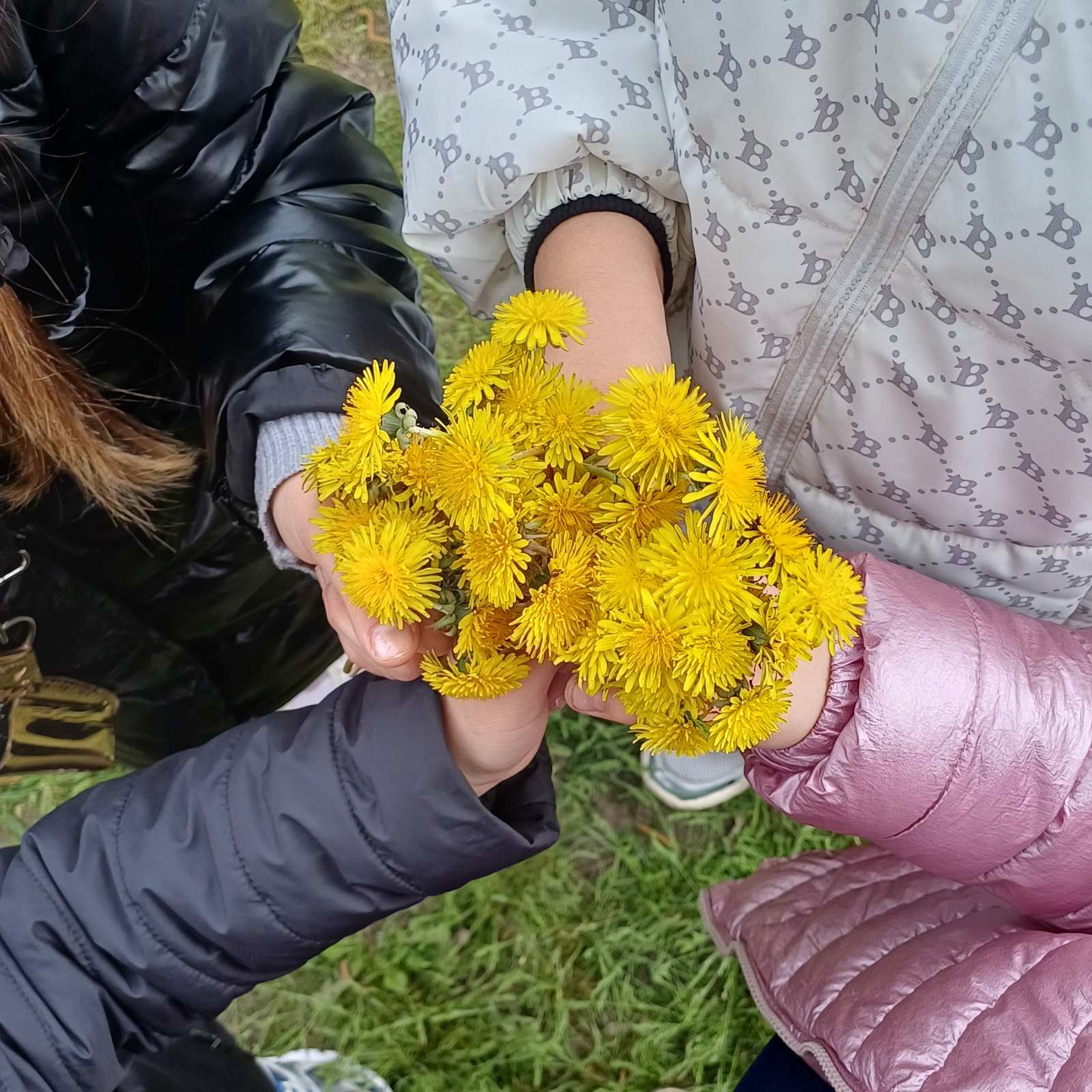 зображення Viber 2026 04 20 13 34 59 458