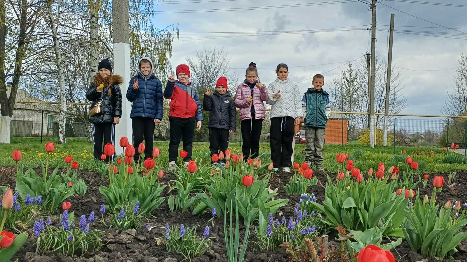 зображення Viber 2026 04 20 13 34 59 499