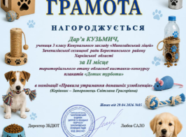 Знімок екрана 2026 05 05 081333