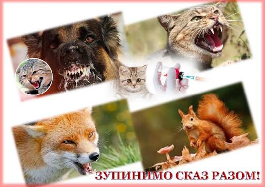зображення 2026 10 06 083614032